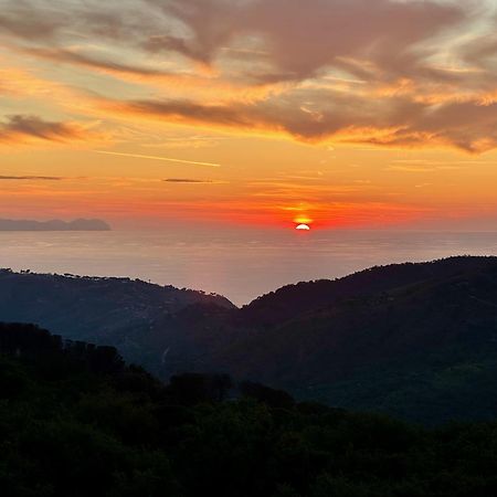 Cefalu Forest Hideout المظهر الخارجي الصورة