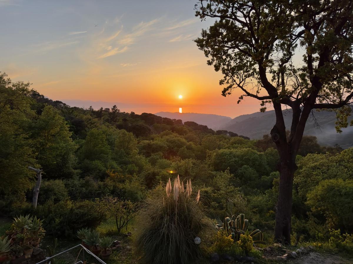Cefalu Forest Hideout المظهر الخارجي الصورة
