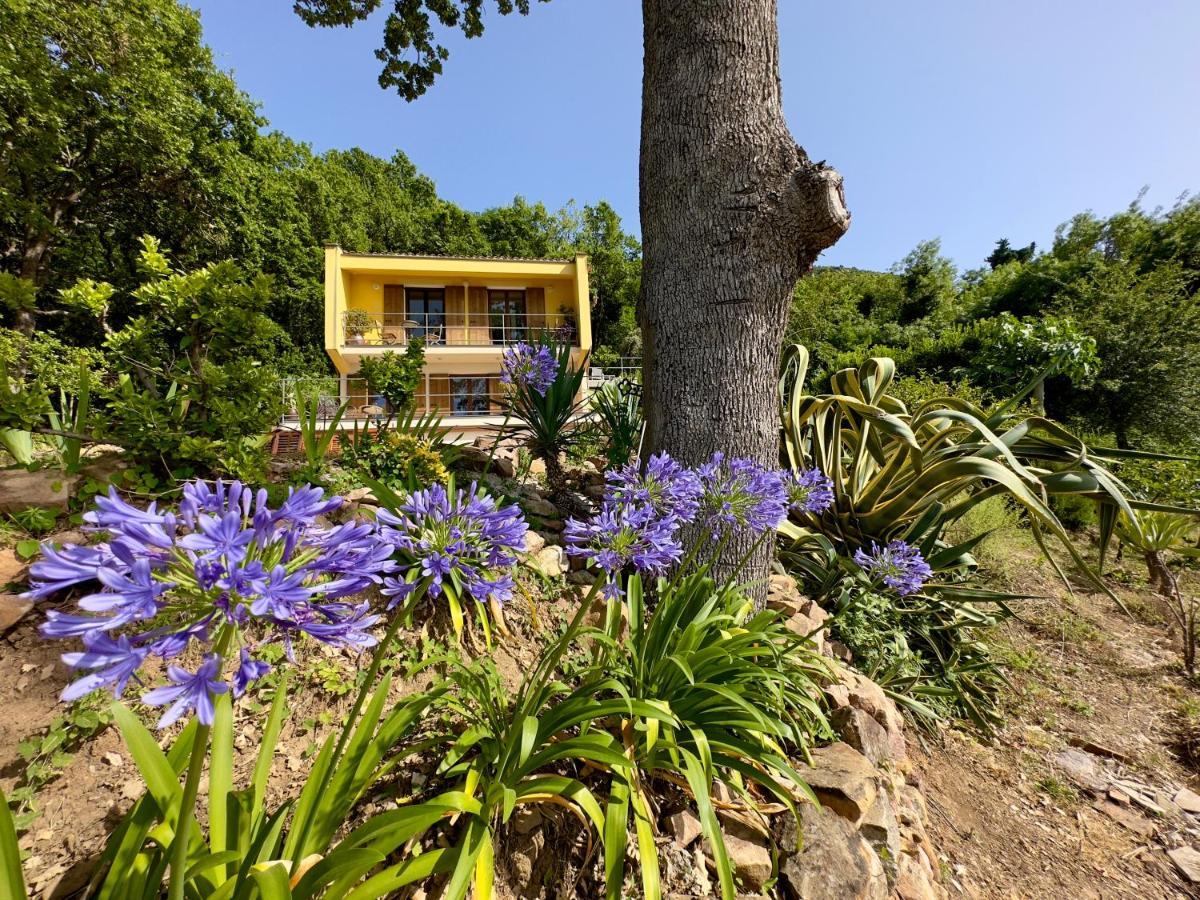 Cefalu Forest Hideout المظهر الخارجي الصورة