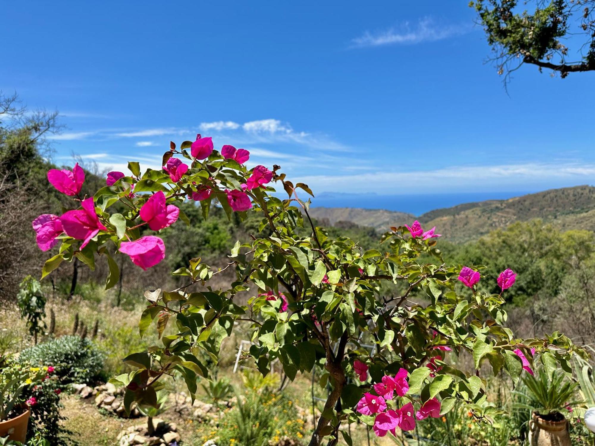 Cefalu Forest Hideout المظهر الخارجي الصورة