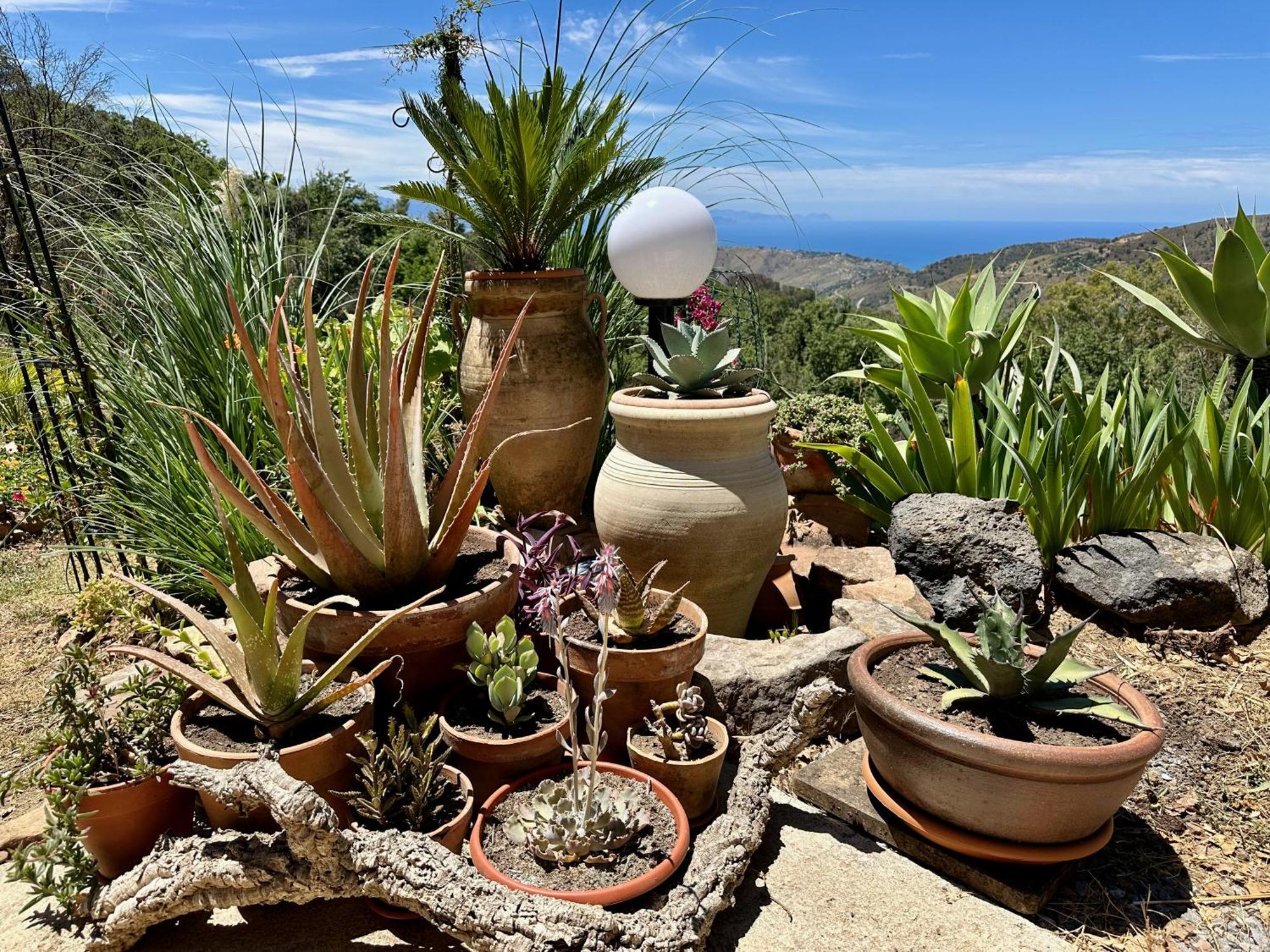 Cefalu Forest Hideout المظهر الخارجي الصورة